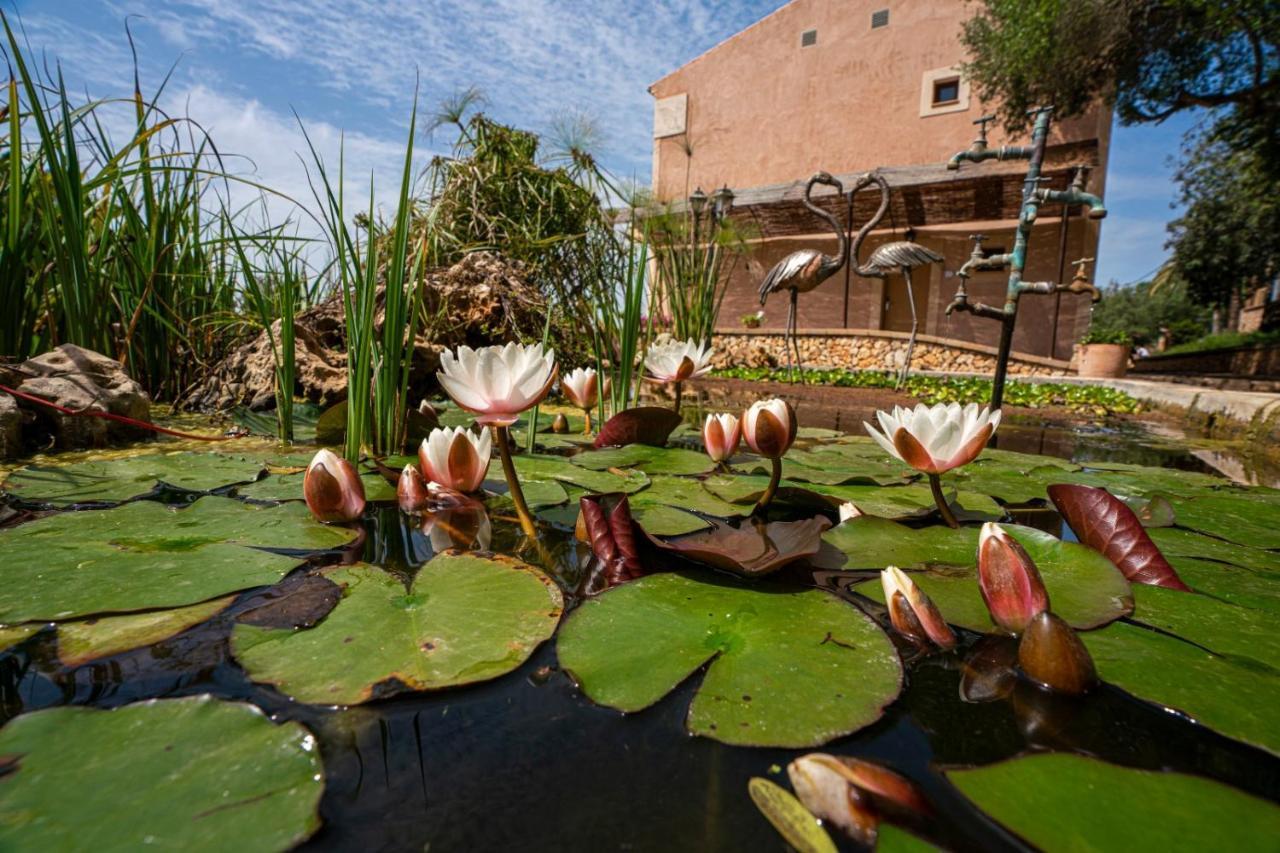 Finca Agroturismo Son Menut Felanitx Εξωτερικό φωτογραφία