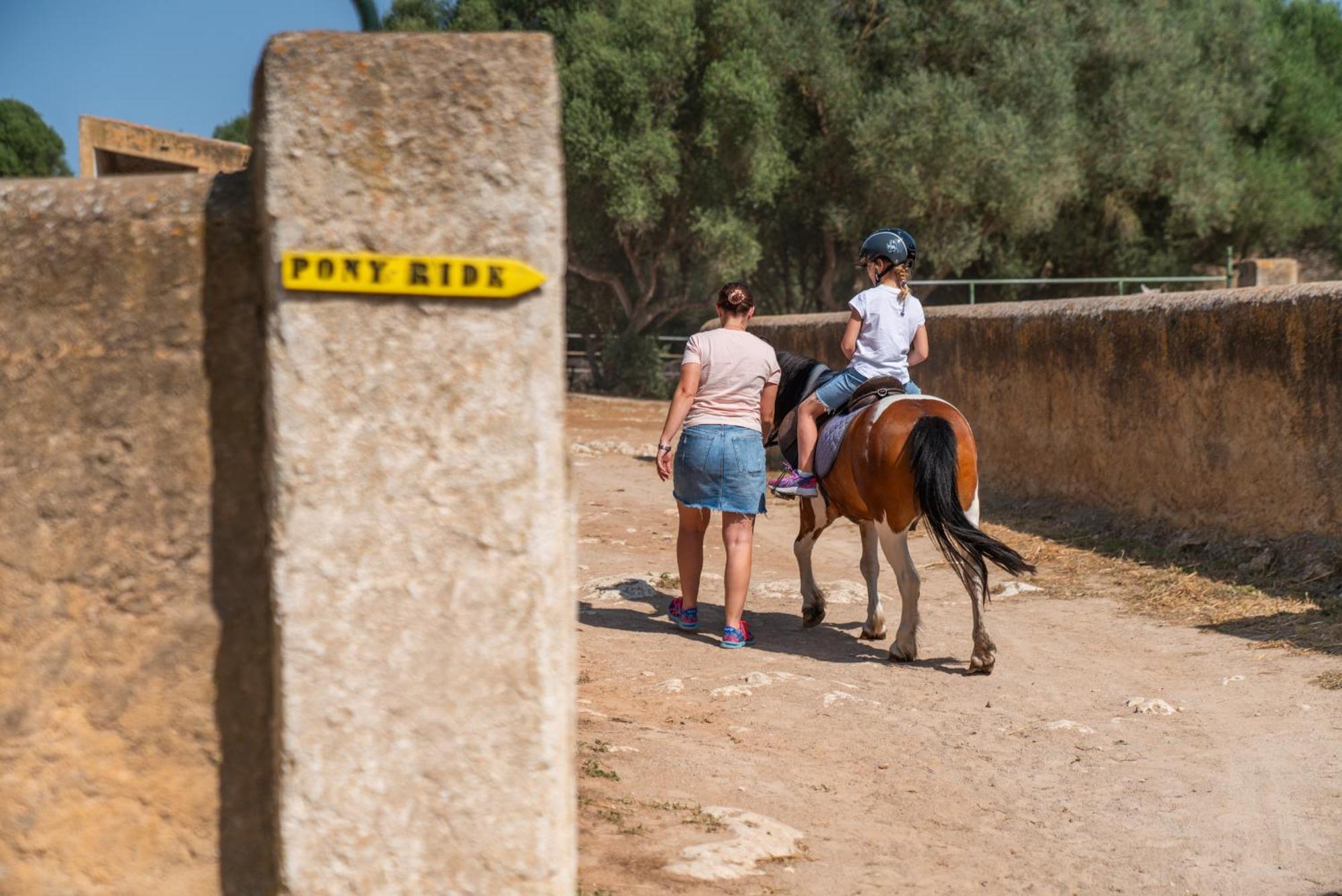 Finca Agroturismo Son Menut Felanitx Εξωτερικό φωτογραφία
