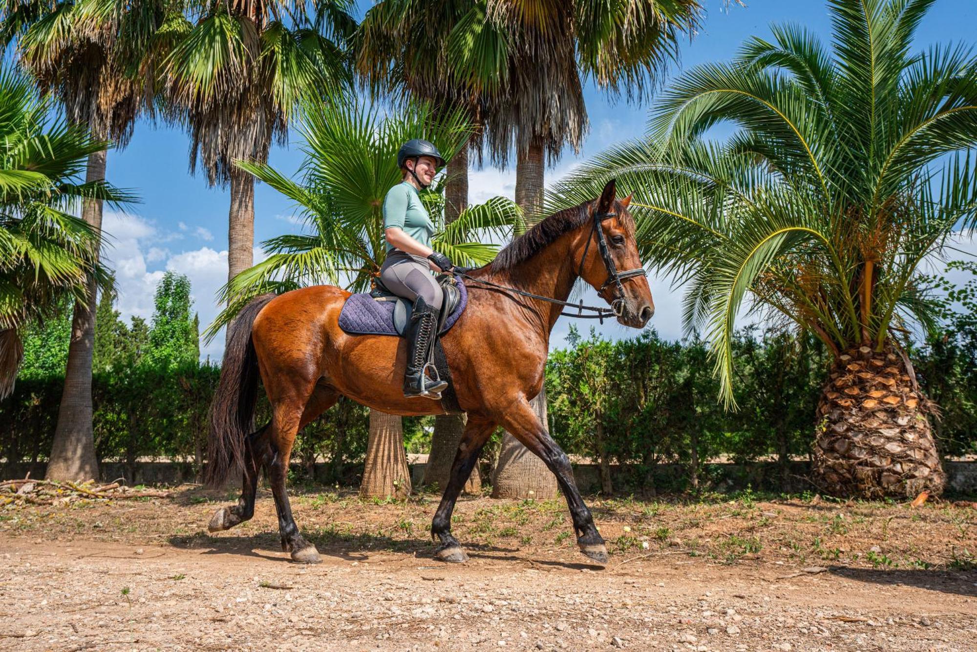 Finca Agroturismo Son Menut Felanitx Εξωτερικό φωτογραφία