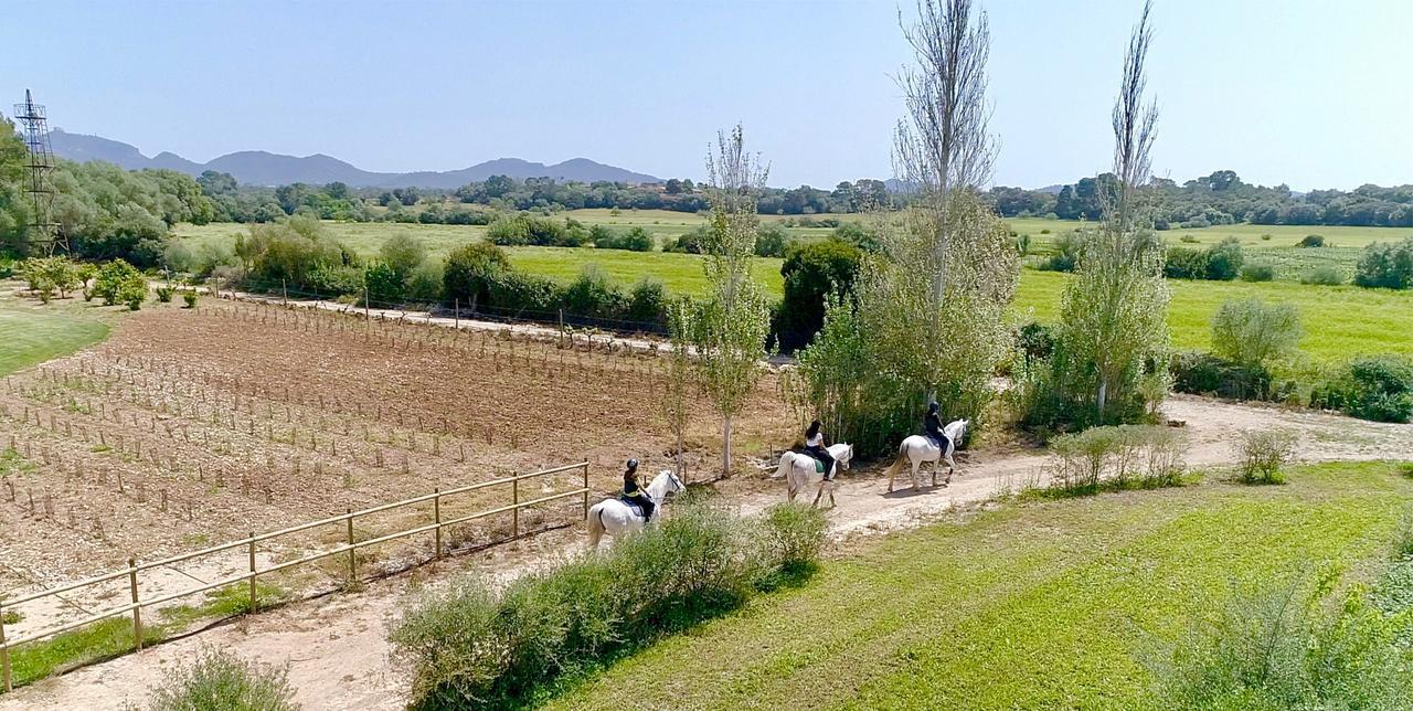 Finca Agroturismo Son Menut Felanitx Εξωτερικό φωτογραφία